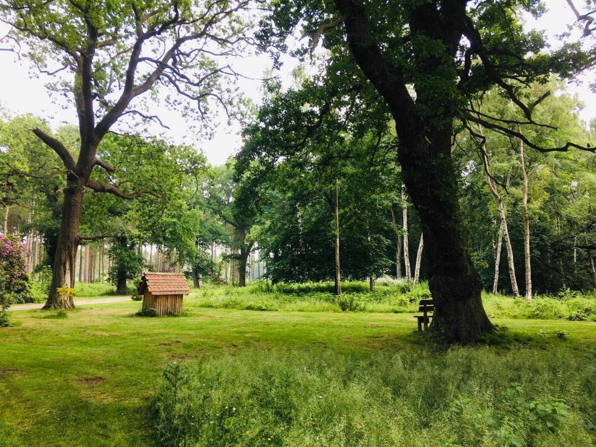 Hollicarrs - Forest Retreat Lodge *